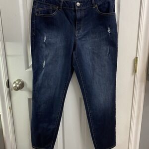 1822 Denim Stitch Fix Jeans Womens Size 14 Distressed Straight Leg Stretch Ankle